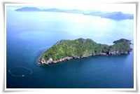 เกาะจระเข้